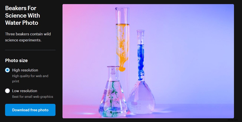 Top 20 Royalty-Free Image Sites for 2024: High-Quality Stock Photos