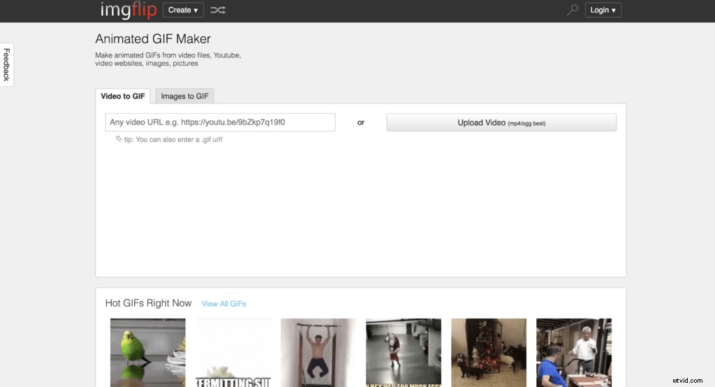Top 12 Best Video to GIF Converters: Expert Reviews & Comparisons