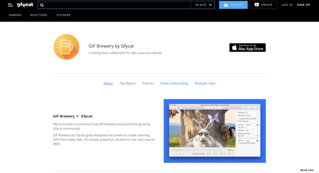 Top 12 Best Video to GIF Converters: Expert Reviews & Comparisons