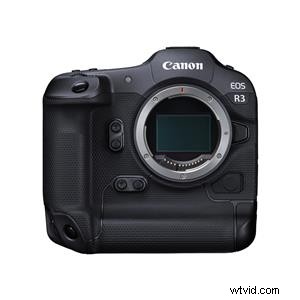 Best Cameras for Wildlife Photography: Expert Picks for Stunning Shots