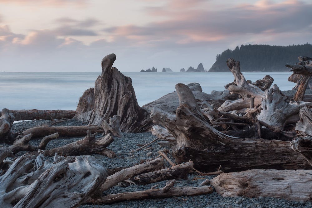 Top 7 Essential Features to Look for in a Compact Digital Camera