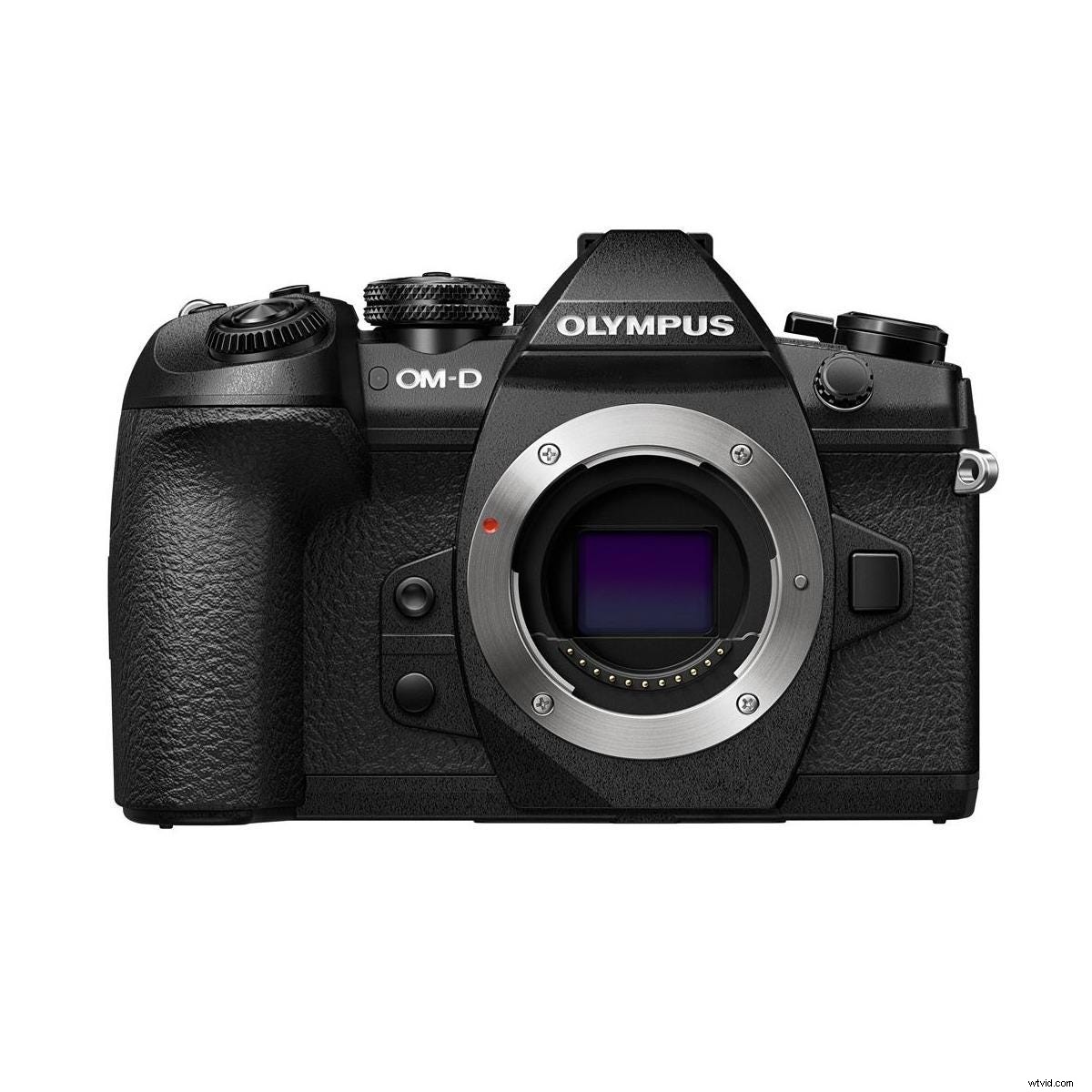 Essential Gear for Beginners: Master Macro Photography