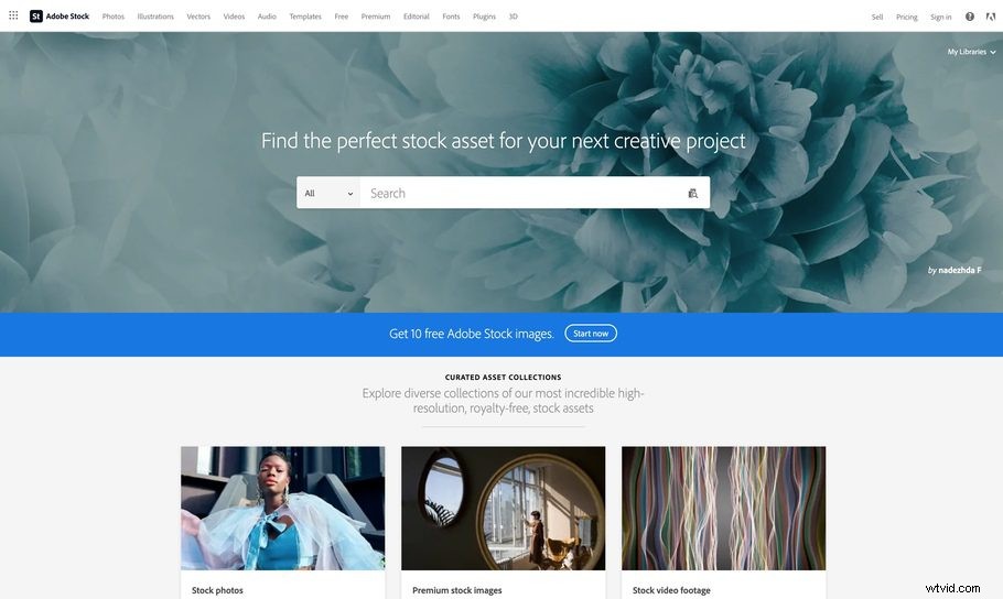 Top 53 Stock Video Sites for 2024: Ultimate Guide to High-Quality Footage for Your Projects
