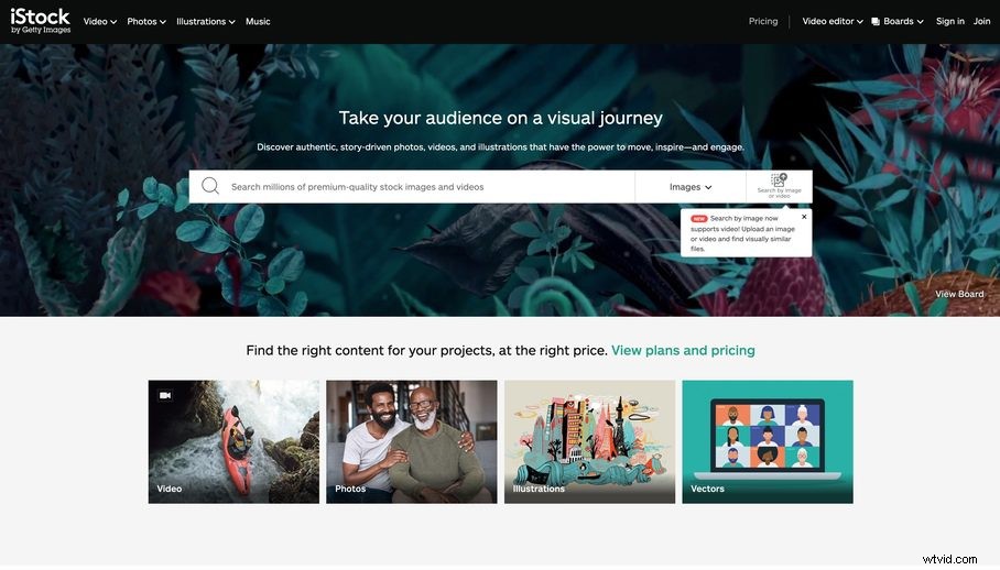 Top 53 Stock Video Sites for 2024: Ultimate Guide to High-Quality Footage for Your Projects
