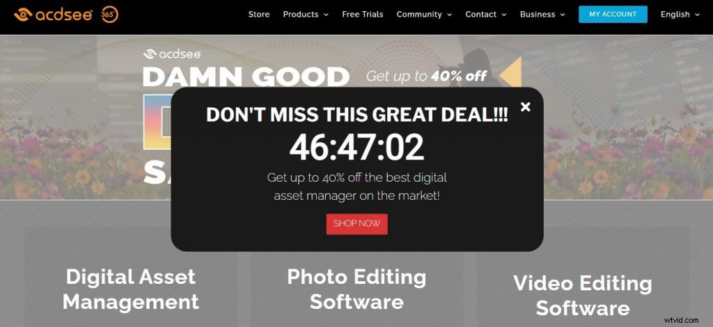Top 12 Photo Management Software for 2024: Expert Reviews & Essential Guide