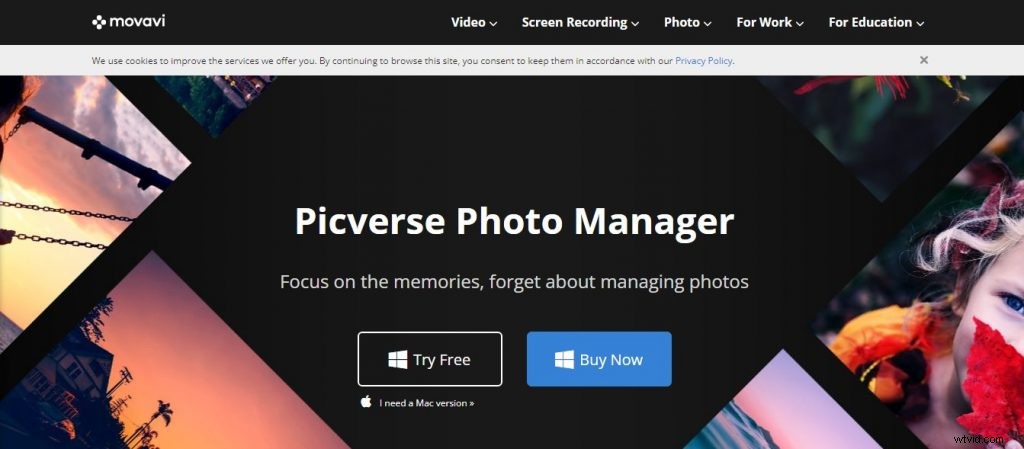 Top 12 Photo Management Software for 2024: Expert Reviews & Essential Guide