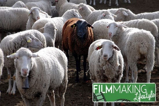 Step 2: Video Production Marketing - Quick Start Guide to Landing Your First Clients