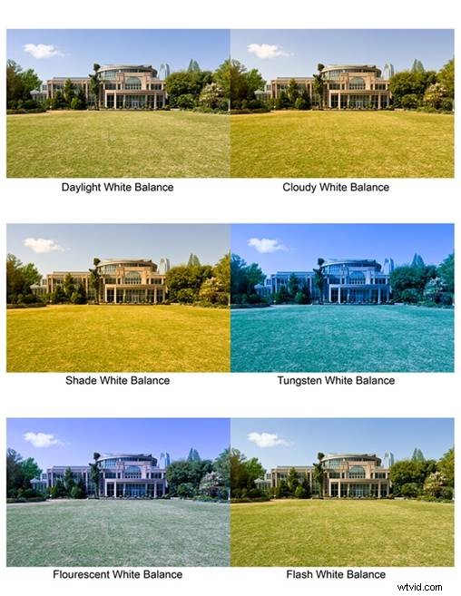 Mastering Professional Video Production Lighting: The Ultimate Guide