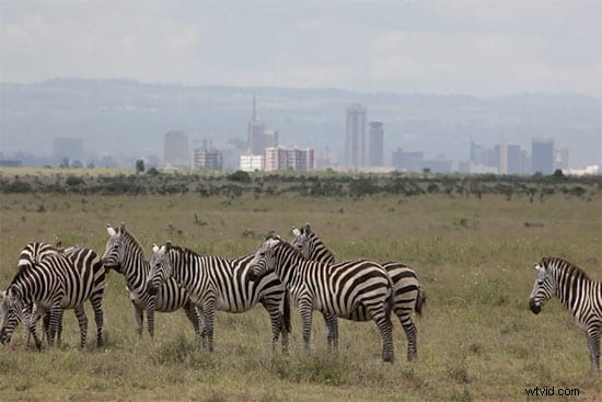 9 Expert Tips for Creating Stunning Travel Films