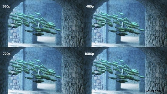 Maximize Video Quality: Expert Tips for Flawless Playback on Any Platform