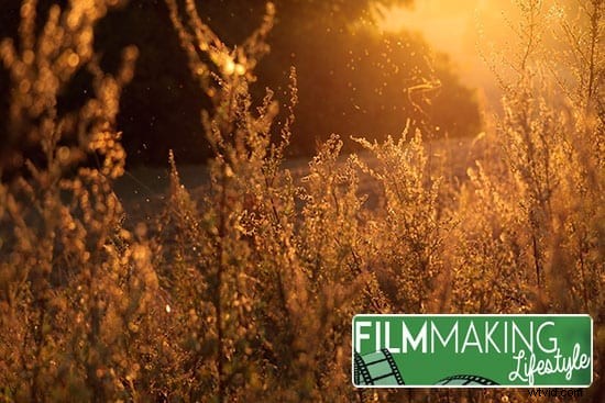 9 Expert Tips to Elevate Your Video Production Skills to Pro Level