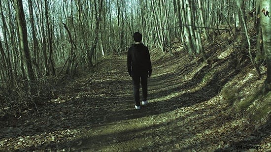 Master LUT Creation: 7 Essential Steps for Professional Color Grading