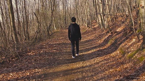 Master LUT Creation: 7 Essential Steps for Professional Color Grading