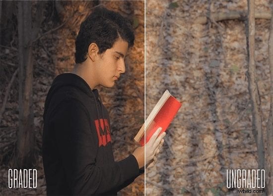 Master LUT Creation: 7 Essential Steps for Professional Color Grading