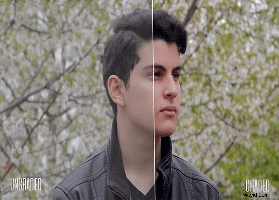 Master LUT Creation: 7 Essential Steps for Professional Color Grading