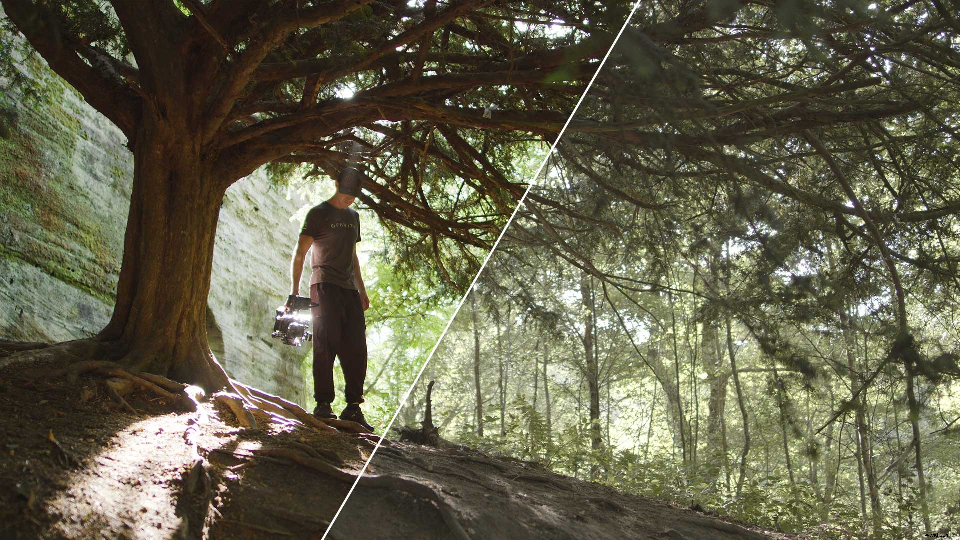 4 Key Benefits of LUTs to Supercharge Your Video Editing Workflow