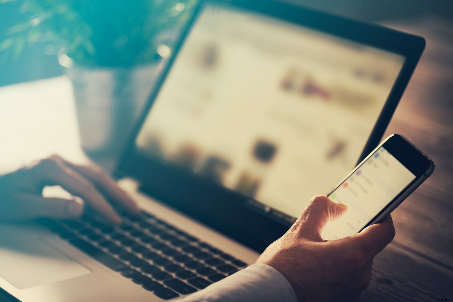 Video vs. Other Content: Performance Comparison and Key Insights