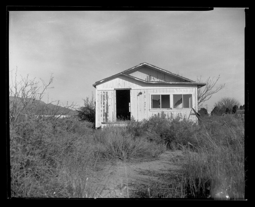 Cam eradactyl OG: Affordable 4x5 Hand Camera for Fun Large Format Film Photography