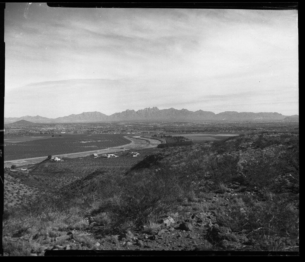 Cam eradactyl OG: Affordable 4x5 Hand Camera for Fun Large Format Film Photography