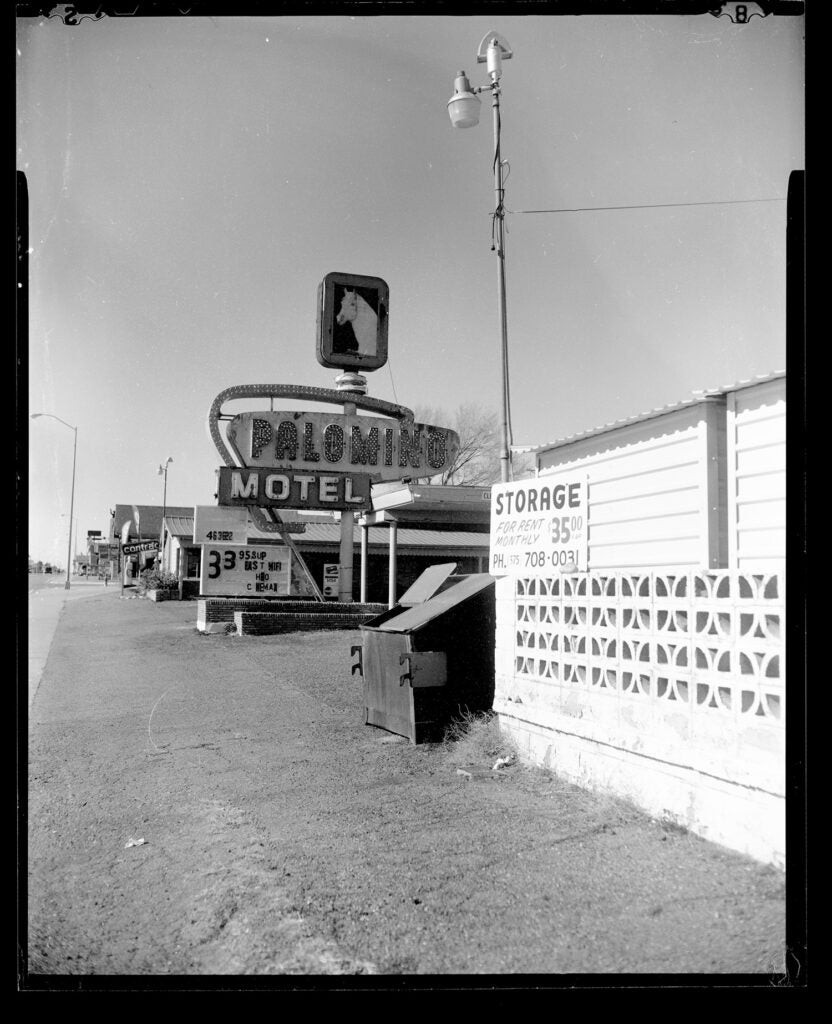 Cam eradactyl OG: Affordable 4x5 Hand Camera for Fun Large Format Film Photography