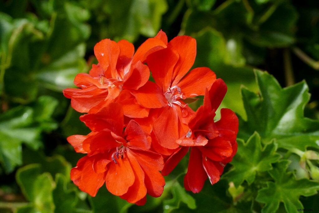 Sony a6400 Hands-On Review: Key Features, Performance & Sample Images