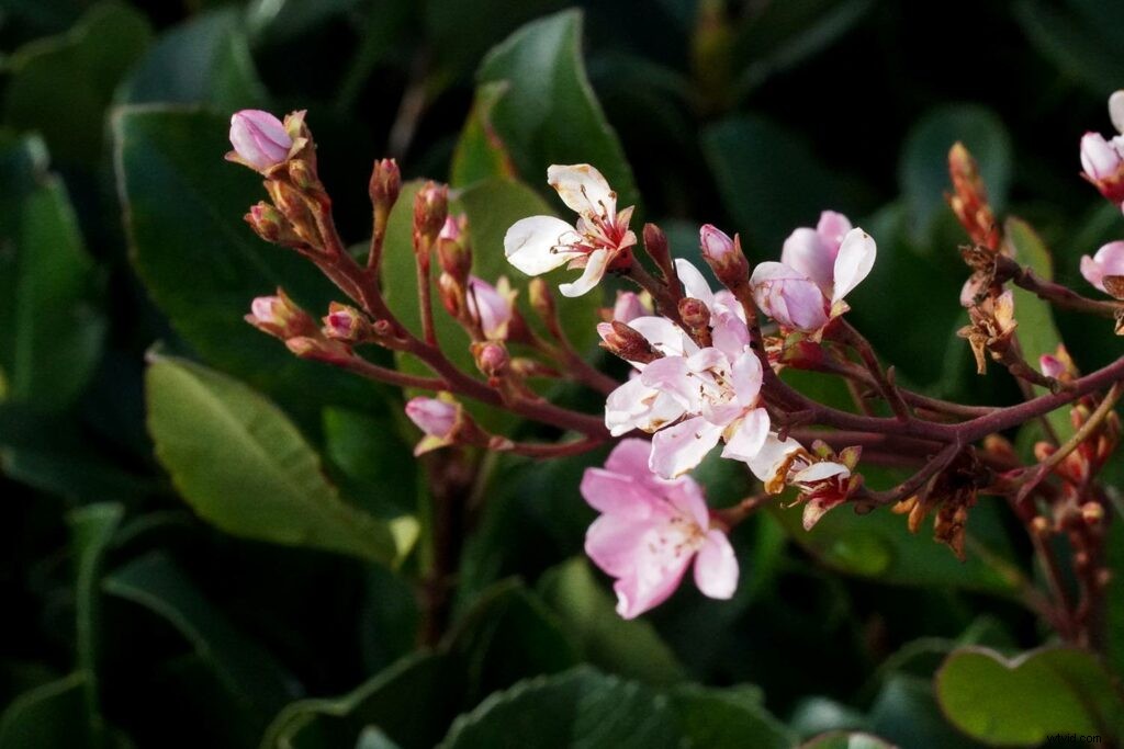 Sony a6400 Hands-On Review: Key Features, Performance & Sample Images