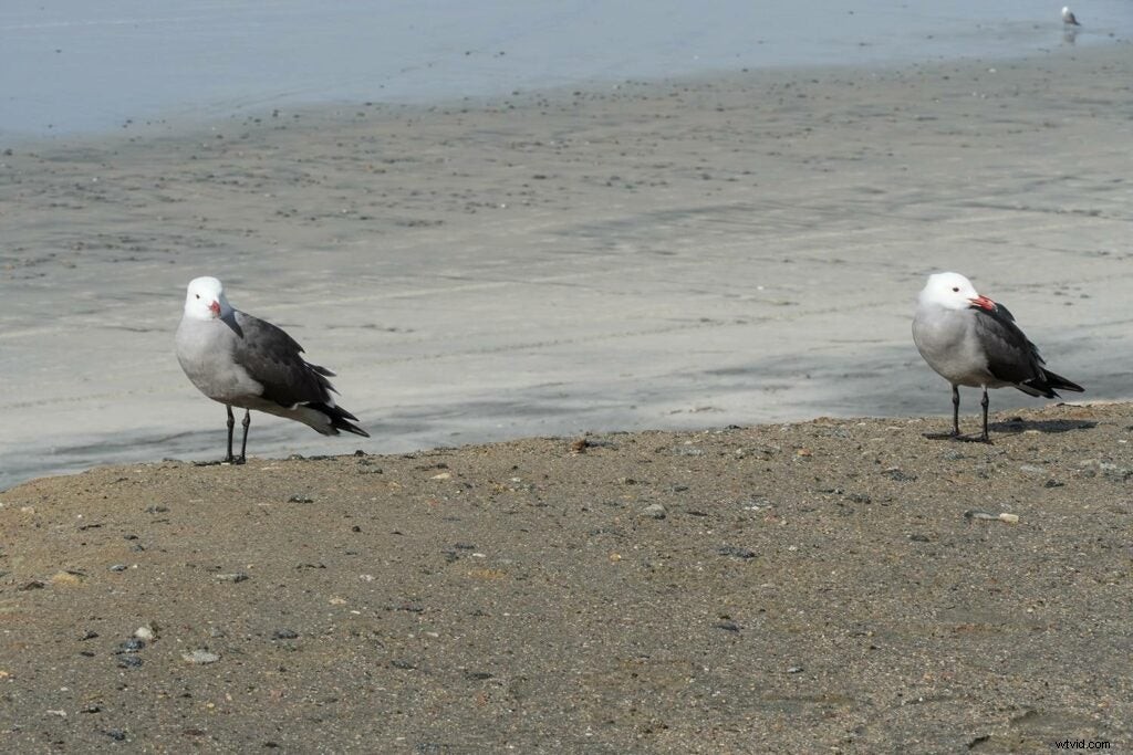 Sony a6400 Hands-On Review: Key Features, Performance & Sample Images