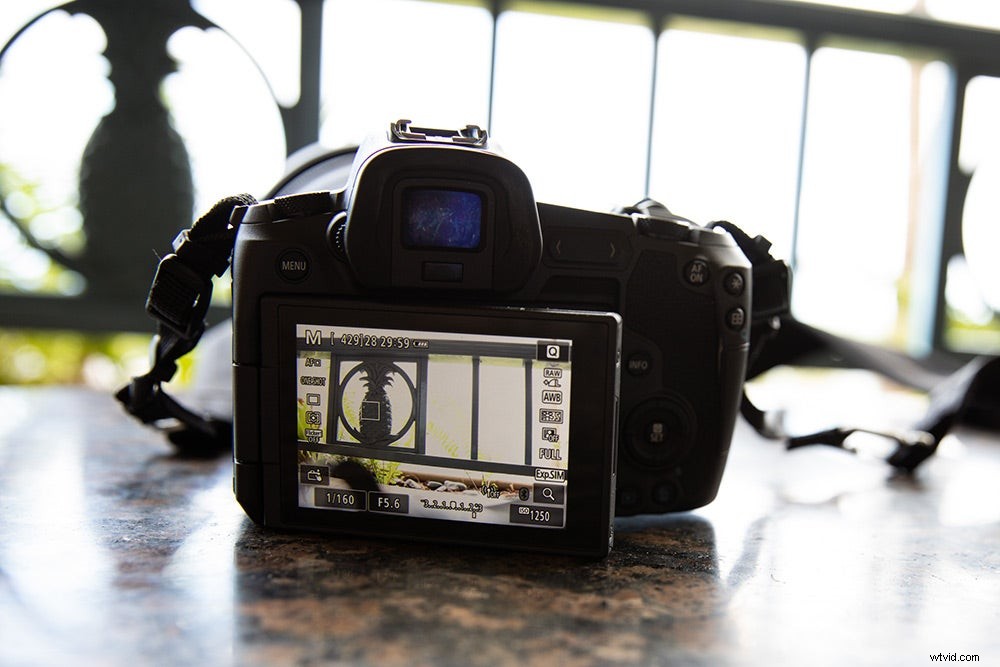 Canon EOS R Full-Frame Mirrorless Camera: Hands-On Review and First Sample Images