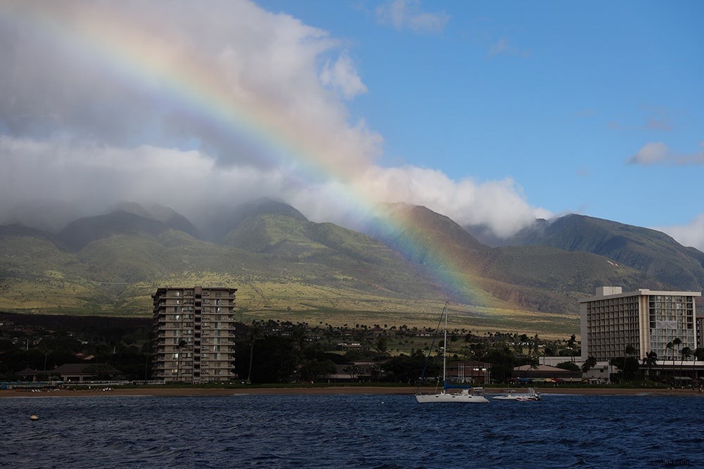 Canon EOS R Full-Frame Mirrorless Camera: Hands-On Review and First Sample Images