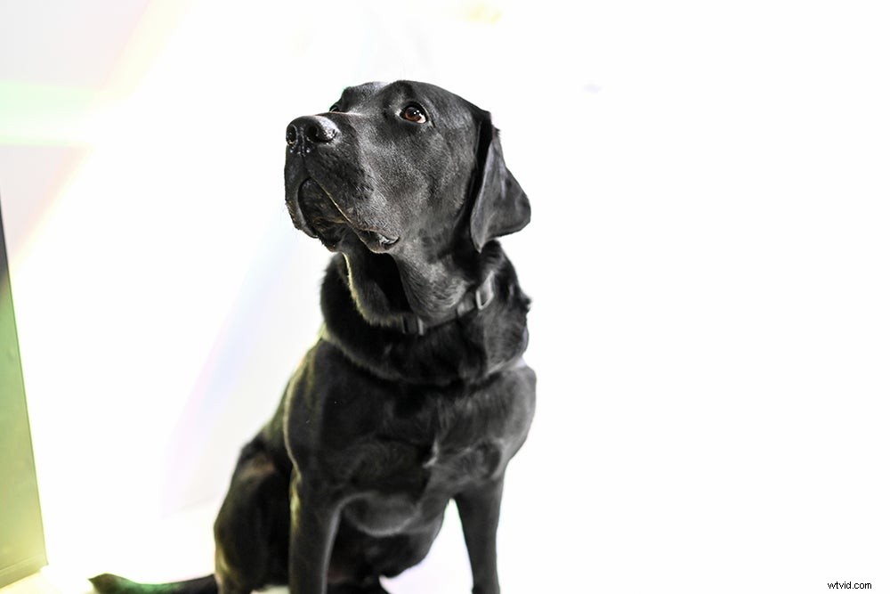 Hands-On First Look: Nikon Z7 45.7MP Full-Frame Mirrorless Camera