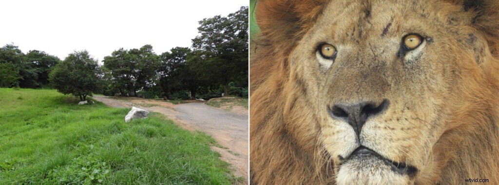 Nikon Unveils Revolutionary 125x Superzoom Camera with DSLR-Impossible Lens