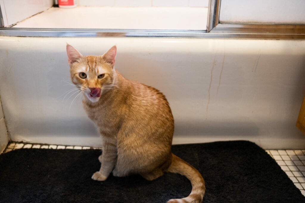 Fujifilm X-Pro3 Review: Mastering Deliberate Photography in a Fast-Paced World