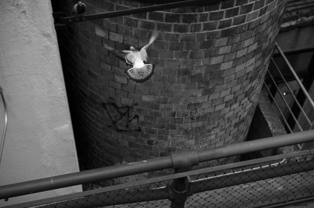 Leica M10 Monochrom Hands-On Review: 40MP Black-and-White Rangefinder with Sample Images