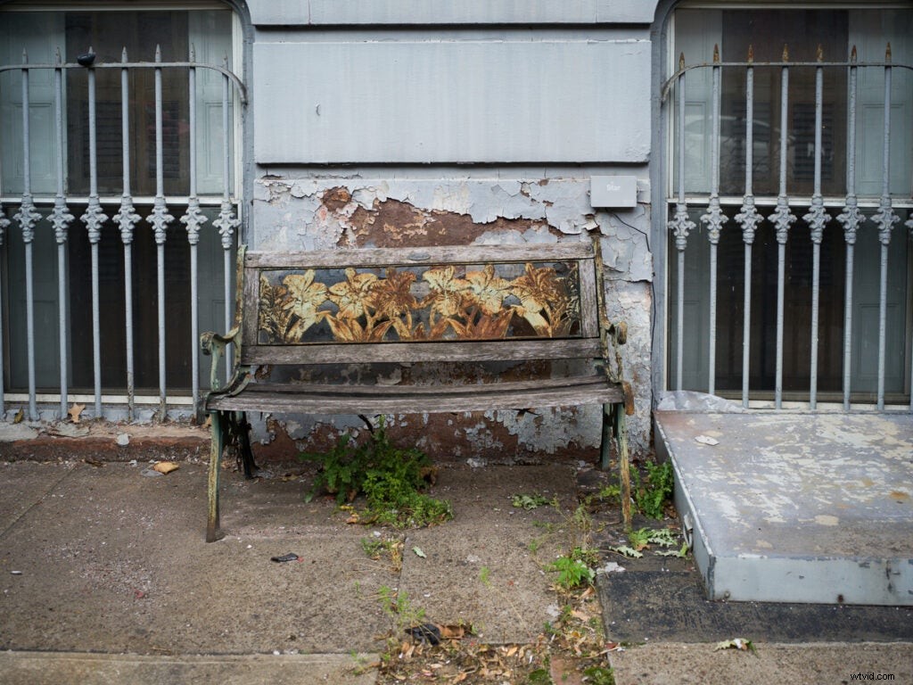 Hasselblad X1D II-50c Hands-On Review: Faster Speed, Lower Price, and Stunning Sample Images