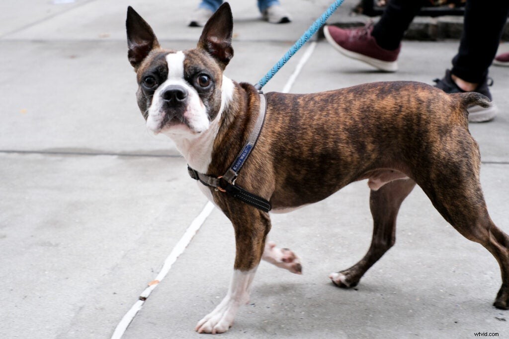 Fujifilm X-Pro3 Hands-On Review: First Impressions and Stunning Sample Images