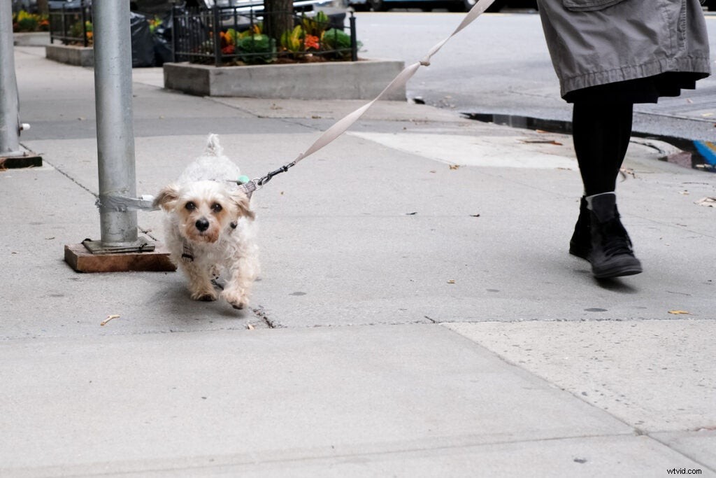 Fujifilm X-Pro3 Hands-On Review: First Impressions and Stunning Sample Images