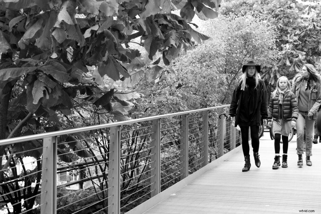 Fujifilm X-Pro3 Hands-On Review: First Impressions and Stunning Sample Images