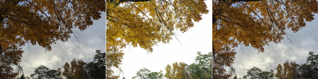 Google Pixel 4 vs iPhone 11 Pro: In-Depth Camera Comparison