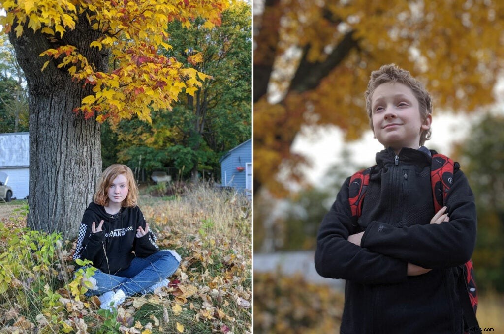 Google Pixel 4 vs iPhone 11 Pro: In-Depth Camera Comparison