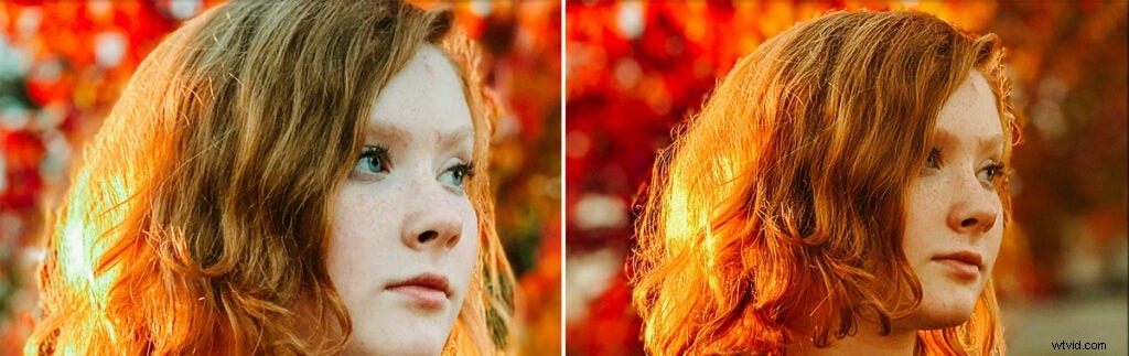 Google Pixel 4 vs iPhone 11 Pro: In-Depth Camera Comparison