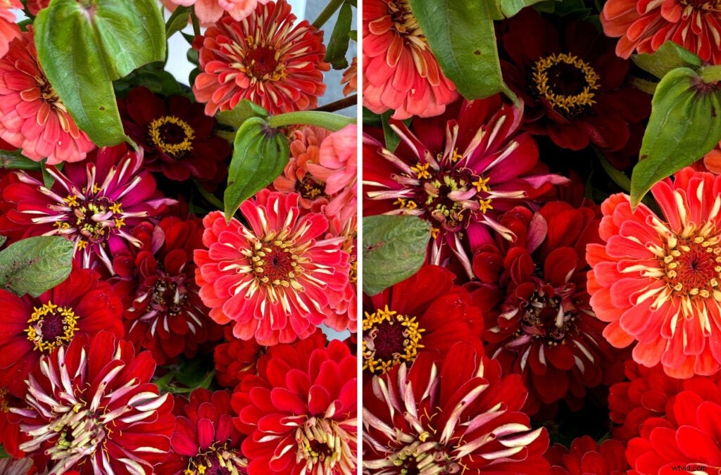 iPhone 11 Pro Camera Review: Exceptional Quality with Key Drawbacks