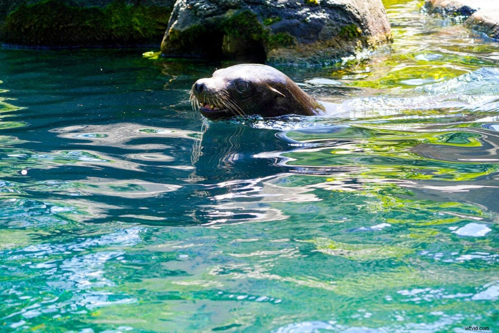 Sony a6600 Hands-On Review: First Impressions, Key Features & Sample Images