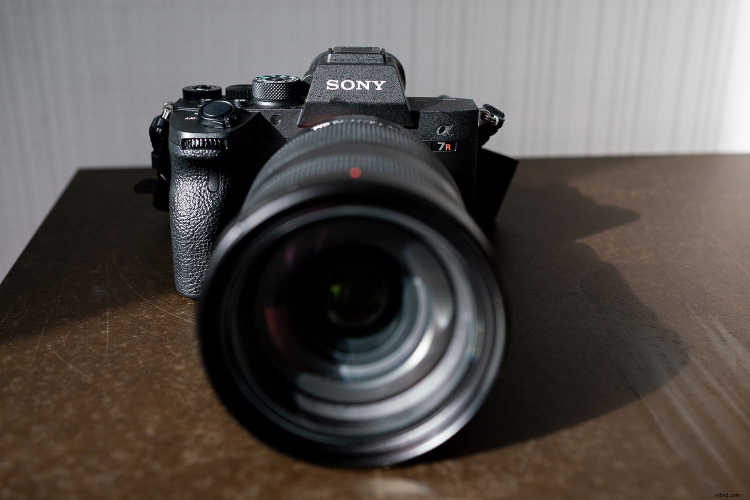Sony a7R IV Hands-On Review: 61MP Beast with Sample Images