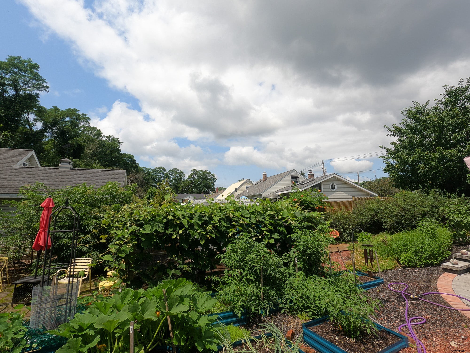 GoPro HERO9 Black Review: An Underrated Essential for Photographers