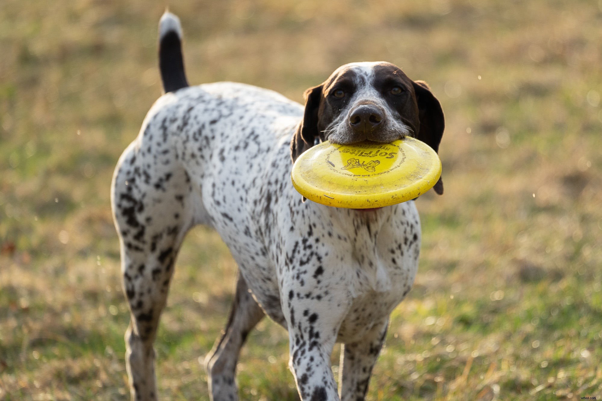 Sony A1 Review: The Ultimate Flagship Alpha Mirrorless Camera