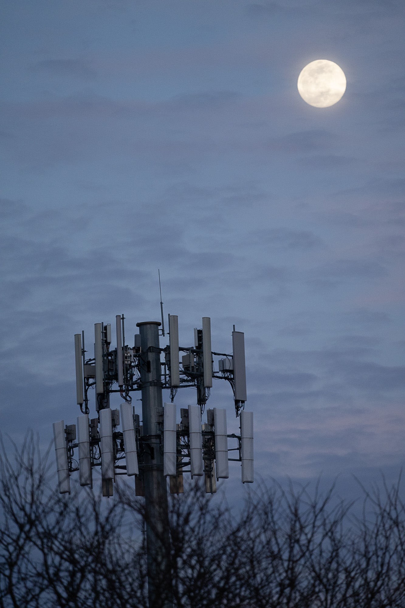 Sony A1 Review: The Ultimate Flagship Alpha Mirrorless Camera