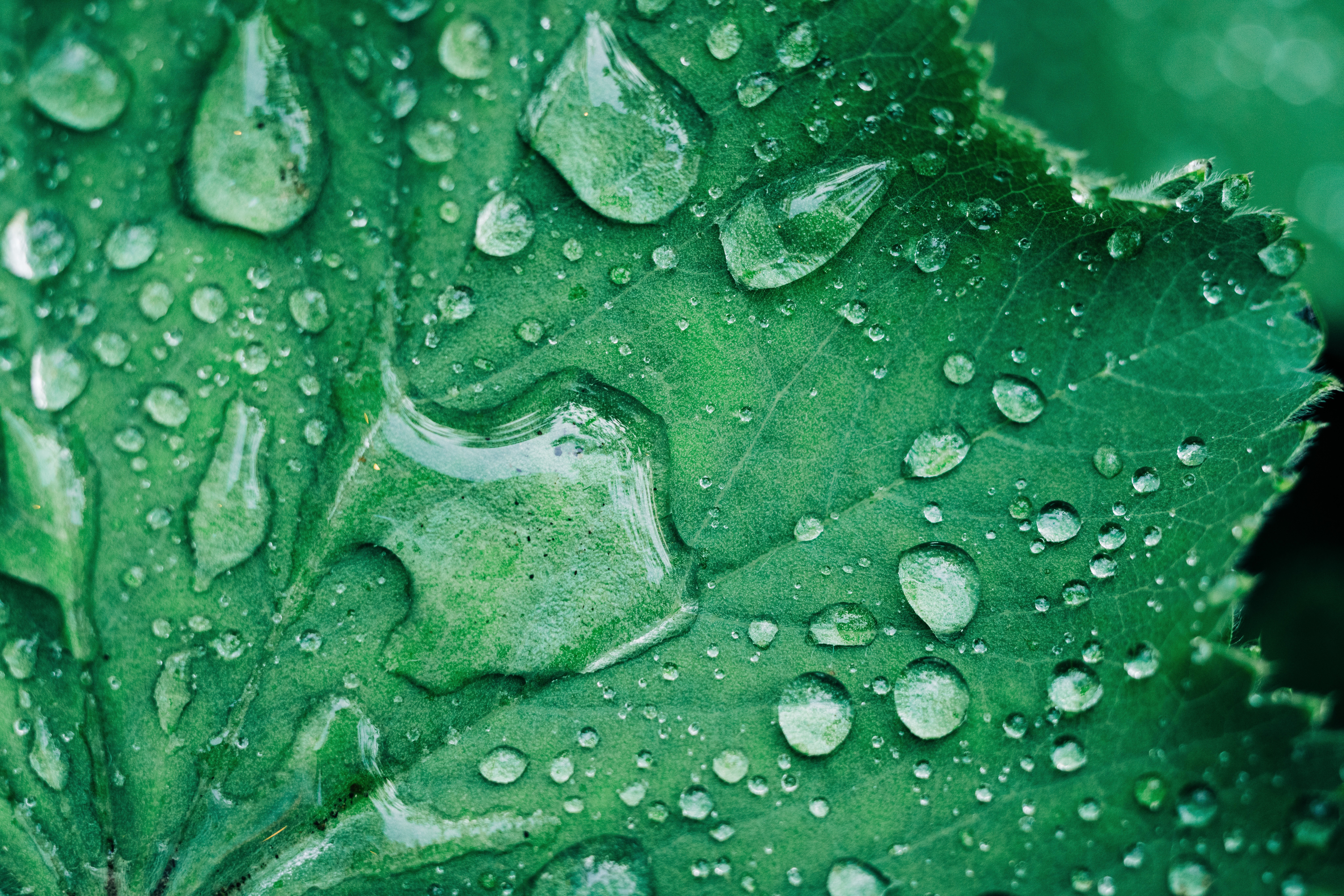 Canon EOS R5 Review: The Ultimate Full-Frame Mirrorless Camera Powerhouse