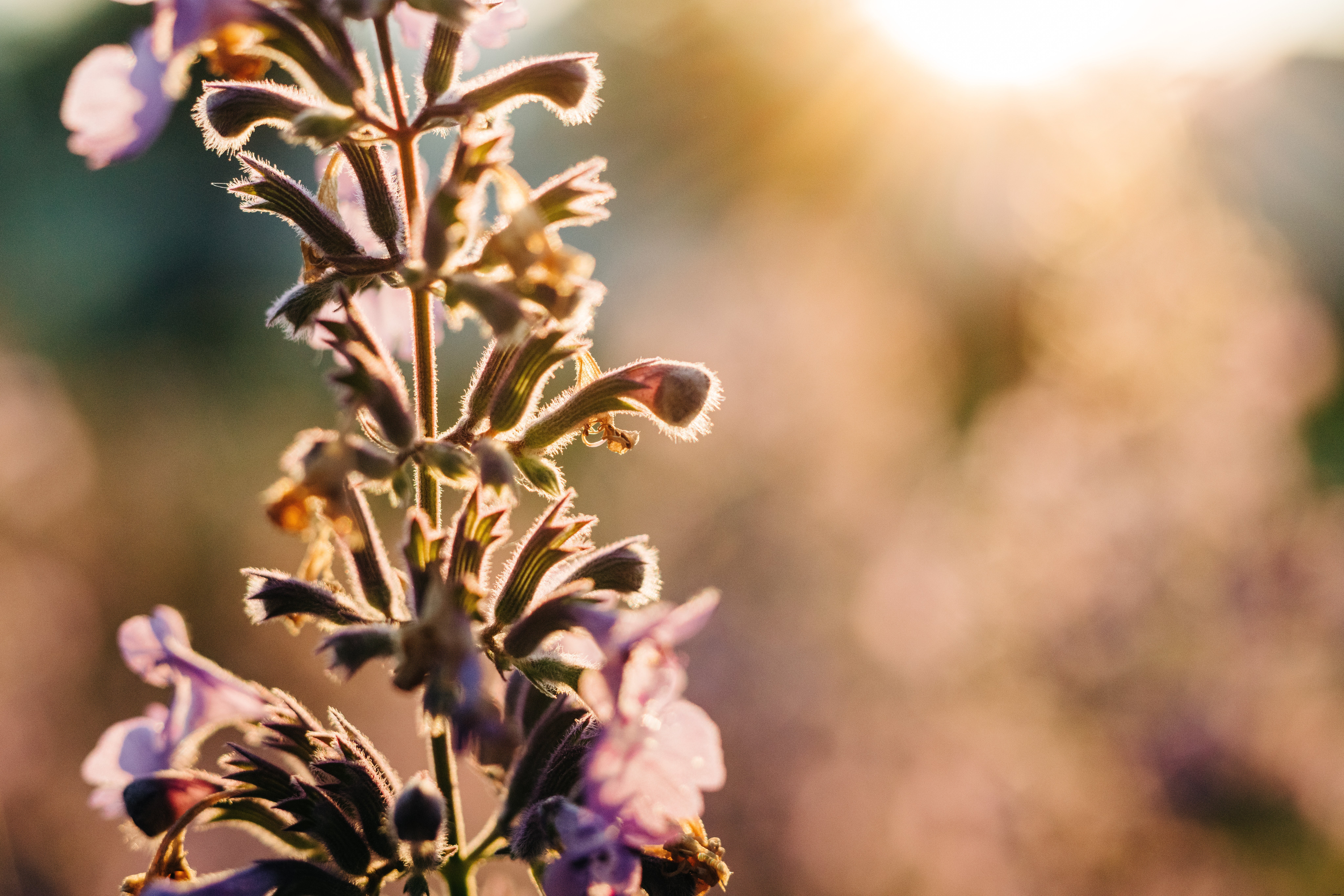 Canon EOS R5 Review: The Ultimate Full-Frame Mirrorless Camera Powerhouse