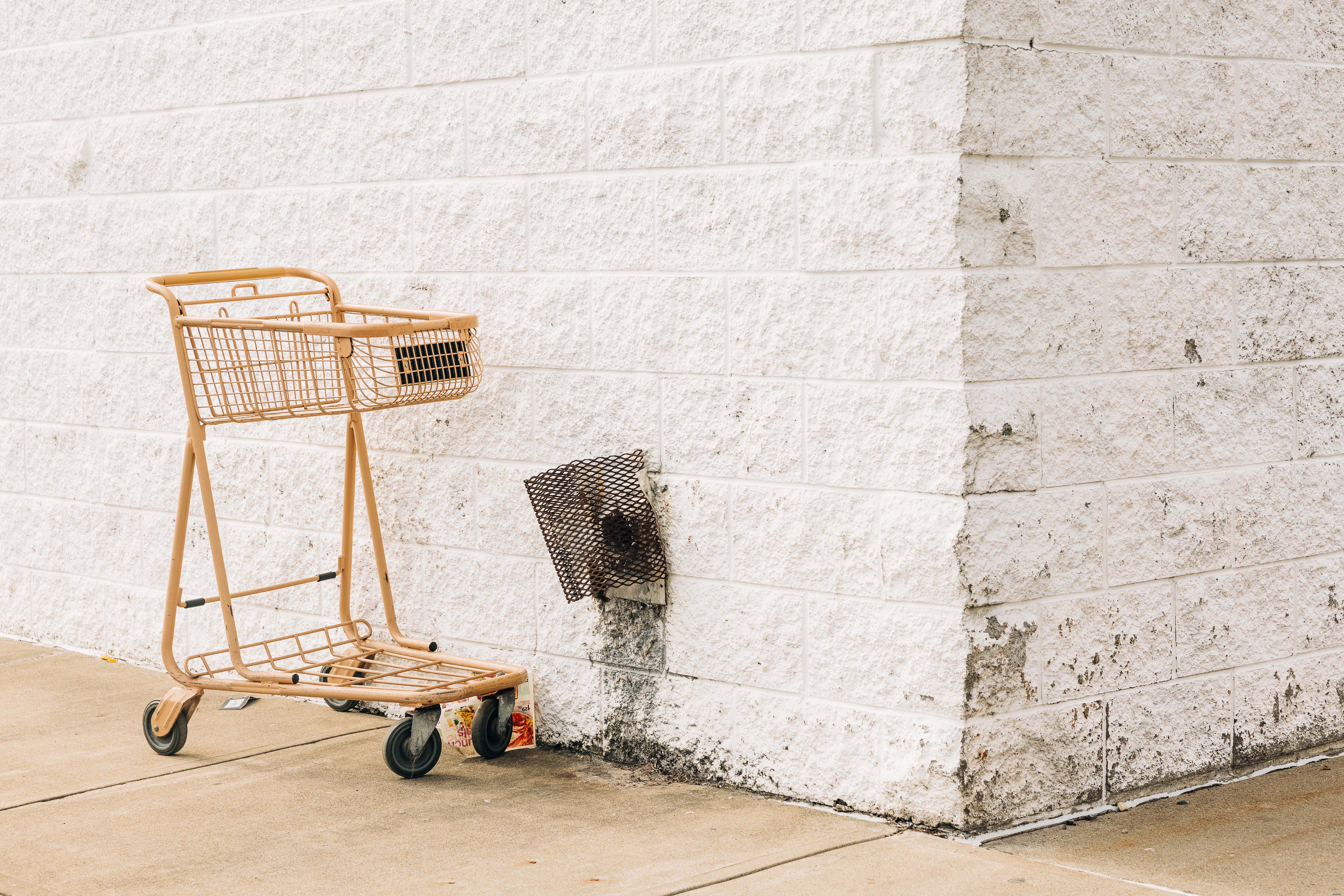 Canon EOS R5 Review: The Ultimate Full-Frame Mirrorless Camera Powerhouse