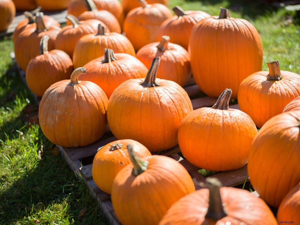 Hasselblad 907X 50C: The $6,400 Camera Blending Retro Charm and Modern Excellence